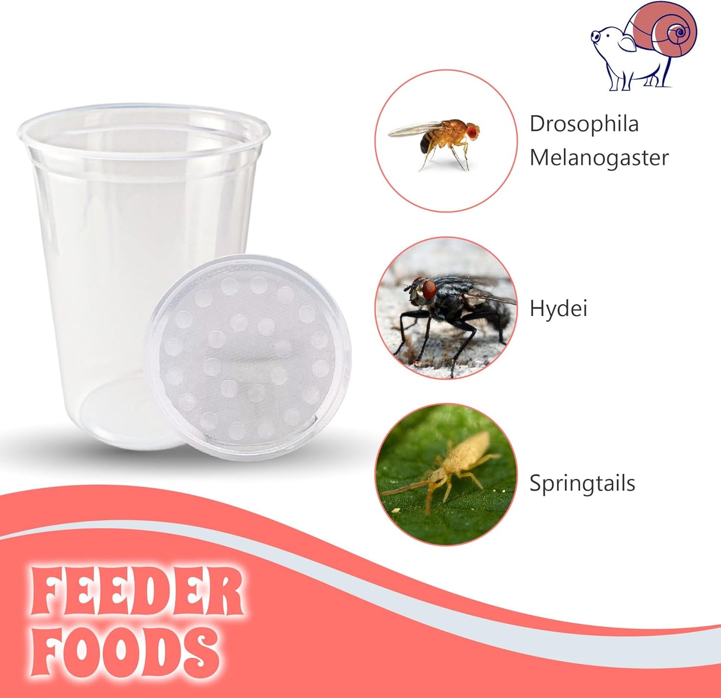 Snout and Shell Deli Cups with Fabric Vented Lids, 10 Pack - Secure Fruit Fly & Insect Cultures, Prevent Escapes & Contaminants, Easy Fruit Fly Media Preparation, Hot Liquid Safe