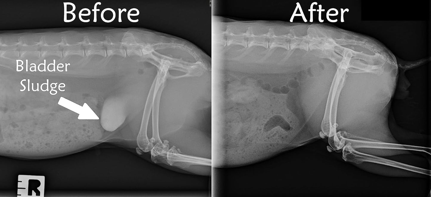 Sherwood Pet Health Adult Rabbit Food Alfalfa Timothy Hay-Based Blend 4.5 lbs, Grain and Soy-Free for Better Digestion