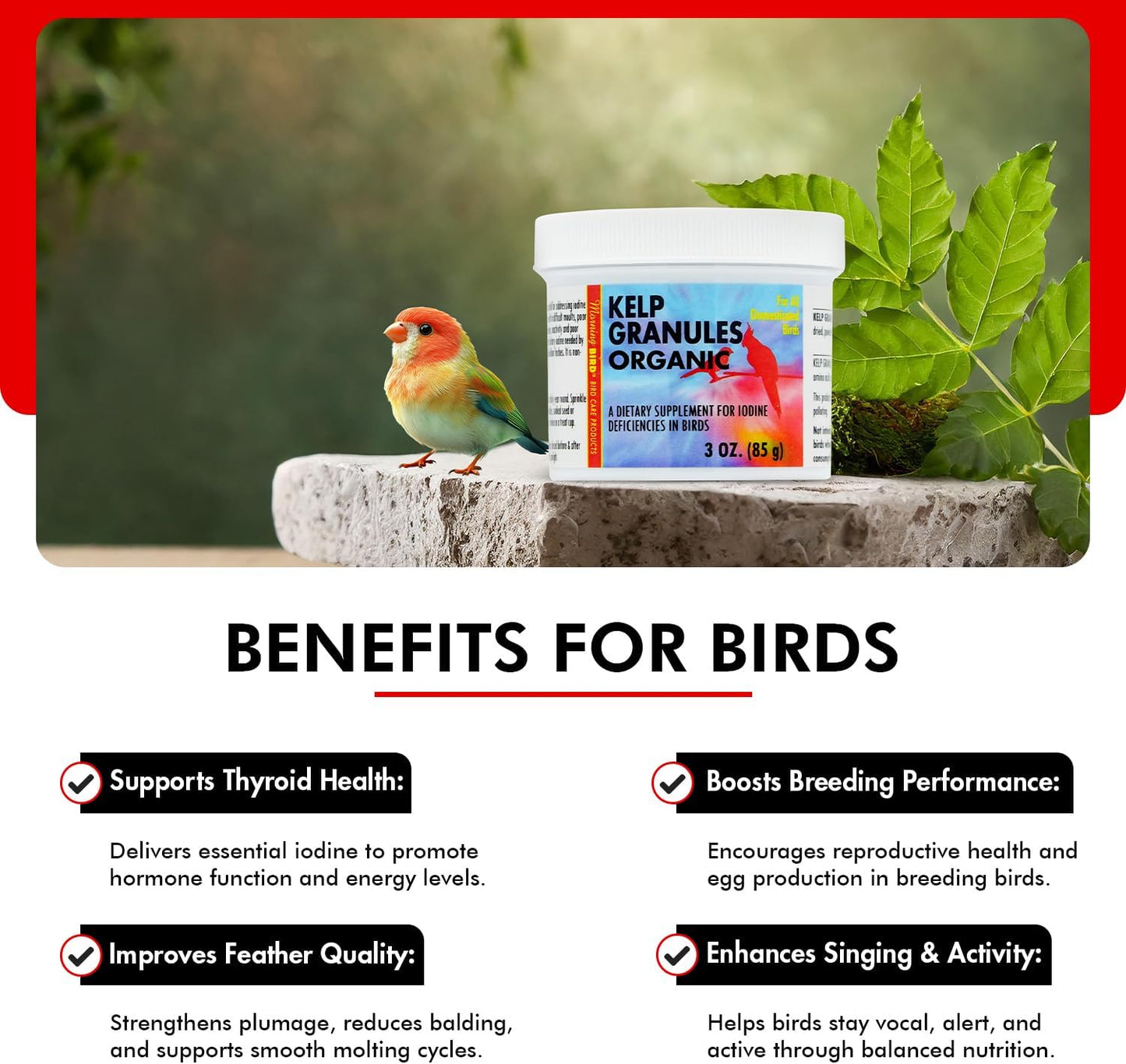 Morning Bird Kelp Granules 3 Oz – Iodine Supplement for Birds – Supports Feather Growth, Molting & Metabolism – Rich in Amino Acids, Trace Minerals & Natural Vitamins – Clean Nutrition for All Birds