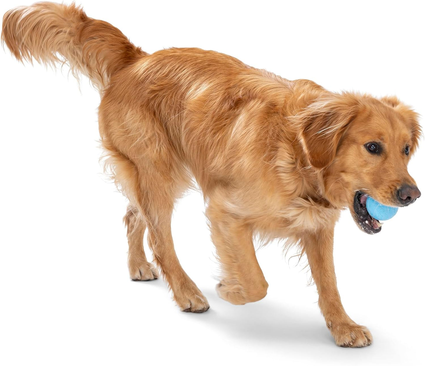 WEST PAW Boundr Ball Dog Fetch Toy – Bouncing Toys for Dogs, Fetch, Catch, Chewing, Play – Floatable, Recyclable Balls – Small Aqua Blue/Dandelion Yellow 2-Pack