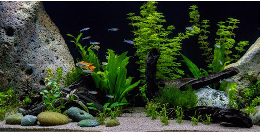 AWERT Vinyl Underwater Aquatic Plant Fish Tank Background Stone River Bed & Lake Aquarium Background 36x20 inches