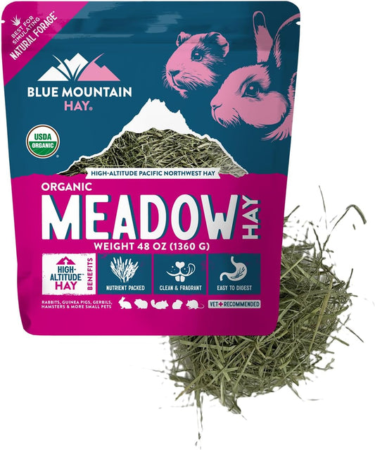 Blue Mountain Hay | Fresh Organic Meadow Hay (48 Ounce) | Mimics Natural Forage | High-Altitude Hay Pet Food for Rabbits, Guinea Pigs, Chinchillas, Hamsters, and Other Small Pets