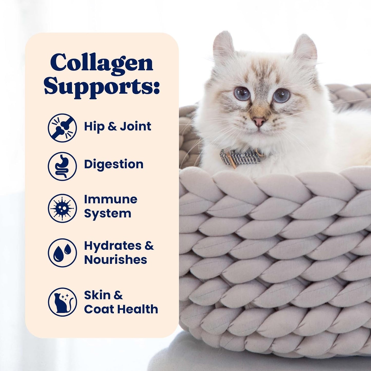 Solid Gold Bone Broth Cat Food Topper - Limited Ingredient Lickable Cat Broth Pouches w/Salmon Protein Shreds & Collagen for Hydration & Gut Support - Easy to Serve Gravy for Cats Meal Topper - 12ct