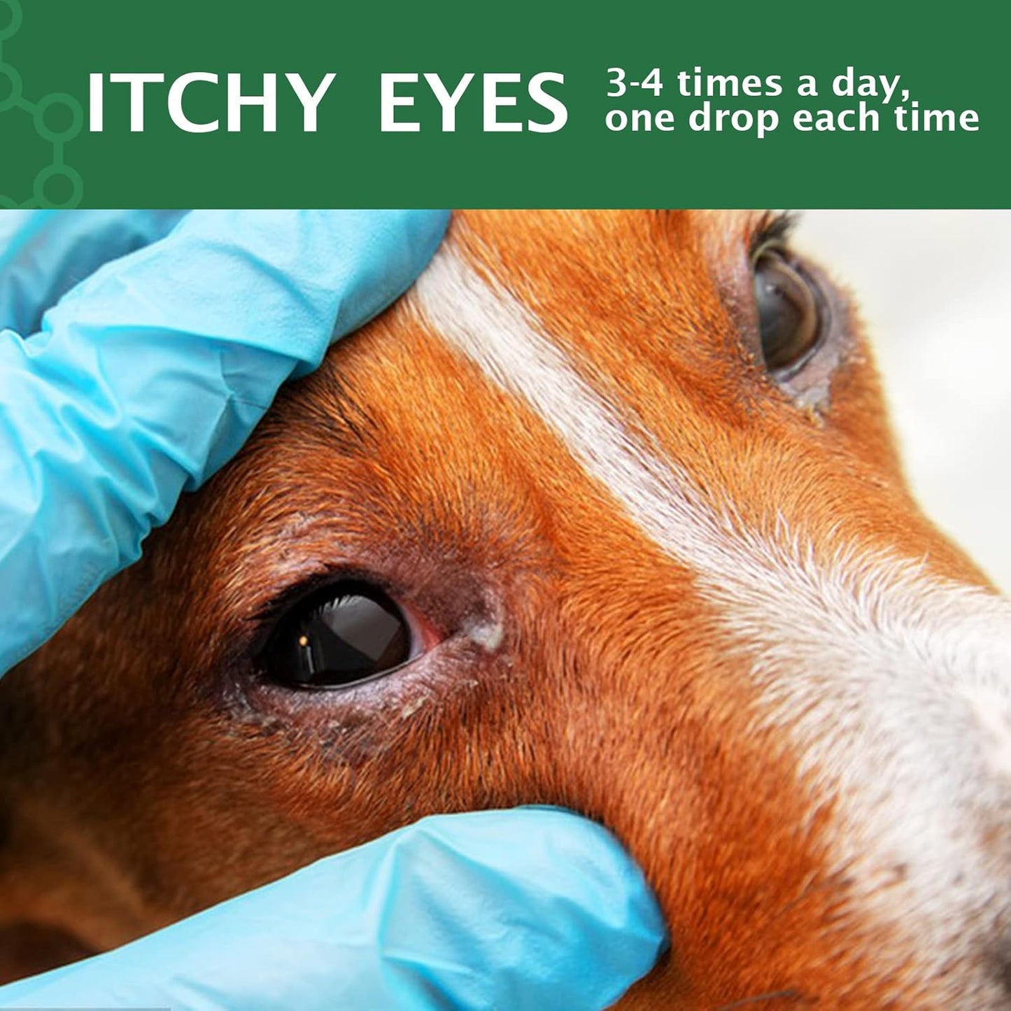 AIQIUSHA Dog Eye Drops 60ML for All Animal Eye Wash,Helps Relieve Pink Eye & Allergy Symptoms,Eases Itching & Irritation,with Pure Natural Essential Oils 100% Natural, Safe, Gentle and Non- Toxic