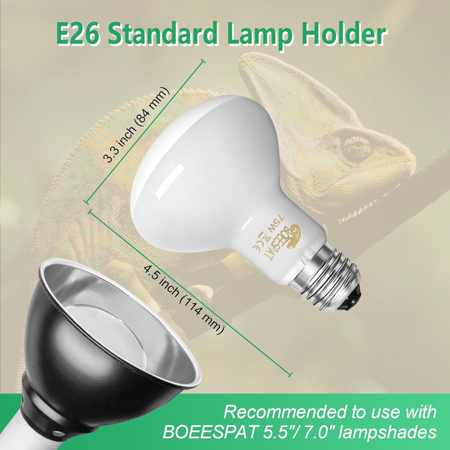 Pack of 2 Reptile Basking Light Bulbs - Incandescent 75W Simulated Sunlight UVA Heat Bulbs for Bearded Dragons, Geckos, Iguanas, Lizards, Amphibians & Small Pets