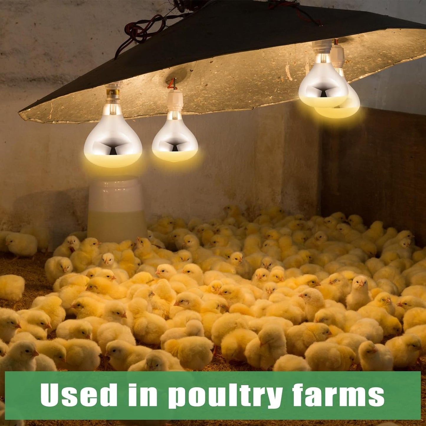 VIHOSE 10 Pack 250 Watt Heat Lamp 120v R40 Heat Lamp Bulbs Glass Incandescent Light Bulbs Incandescent Heating Lightbulbs for Reptiles Chicks Food Puppies Bathroom, Use E26 Base (Silver)