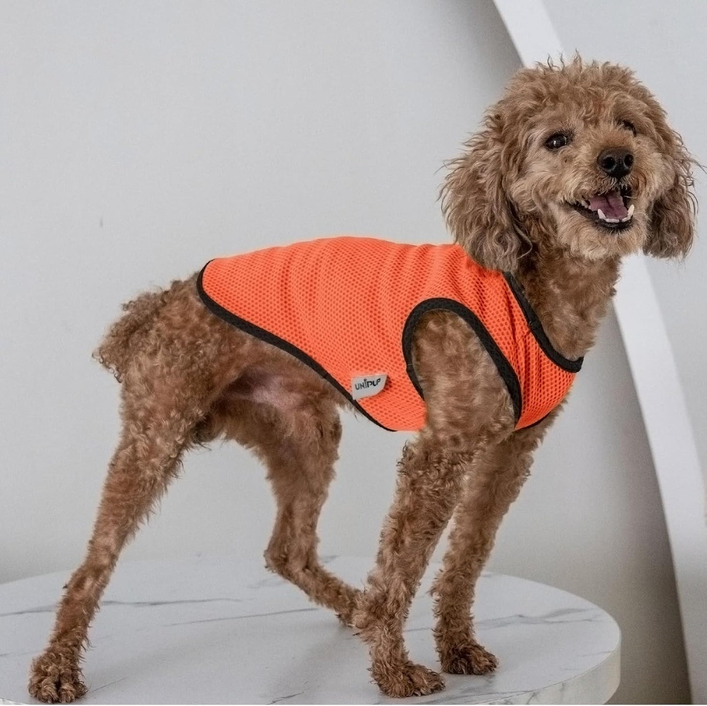 2 Pack Cooling Shirts for Dogs, Lightweight Mesh Breathable Dog Clothes for Large Dogs Boy Girl,Sports Fan Pet T-Shirts for Dog&Cat Puppy Vest Pet Apparel - XXL