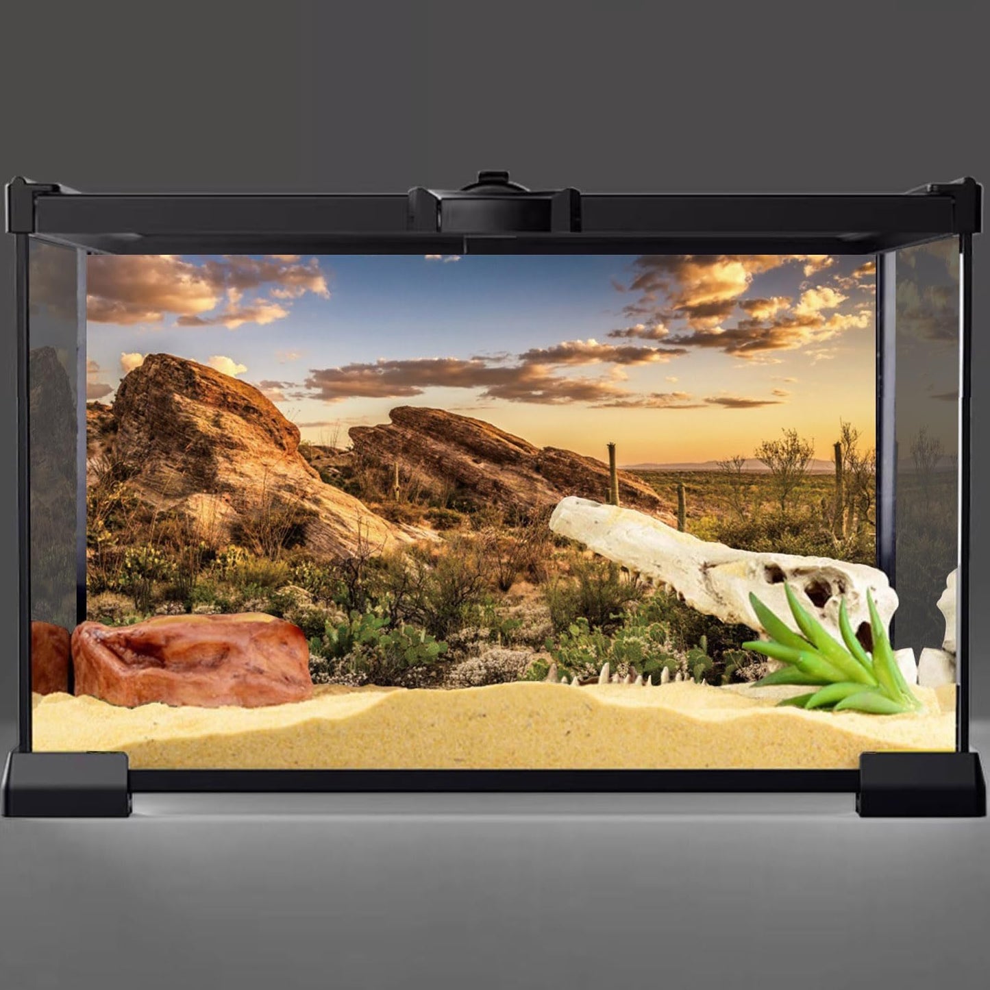 AWERT Reptile Habitat Background Blue Sky Oasis Cactus Sun and Desert Terrarium Background 72x24 inches Durable Polyester Background
