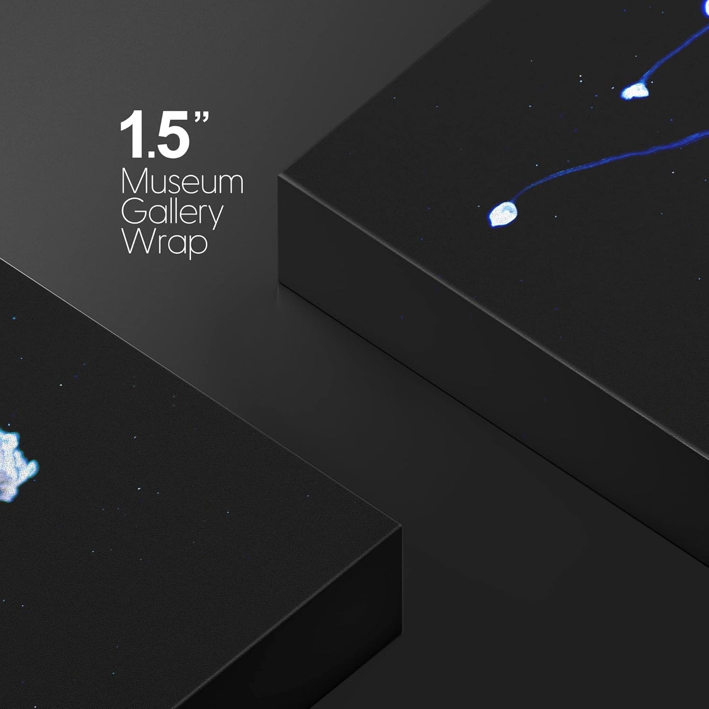 wall26 Canvas Print Wall Art Mystic Fantasy Tropical Blue X-Ray Jellyfish Nature Animals Photography Realism Rustic Scenic Landscape Wilderness Colorful for Living Room, Bedroom, Office - 12"x18"