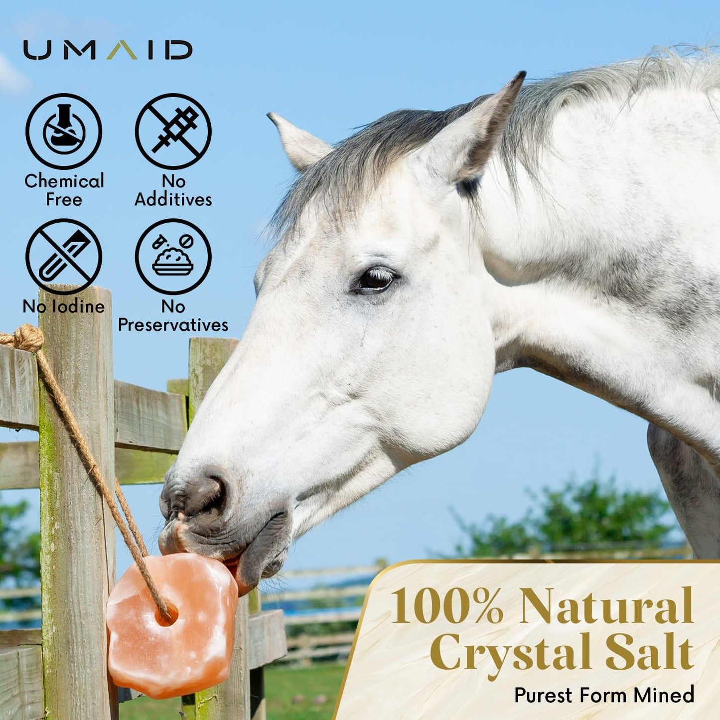 UMAID Himalayan Salt Lick 6 lbs On Rope for Horse, Deer, Goat, and Livestock Animals - Himalayan Salt Block 2 Pack