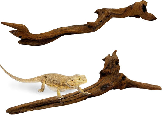 BNOSDM 2PCS Snake Climbing Branches,Reptile Natural Coral Driftwood Branches Decor,Lizard Habitat Decoration Accessories, Terrarium Tree Trunk Ornament for Bearded Dragon Gecko Frog Chameleon Spider