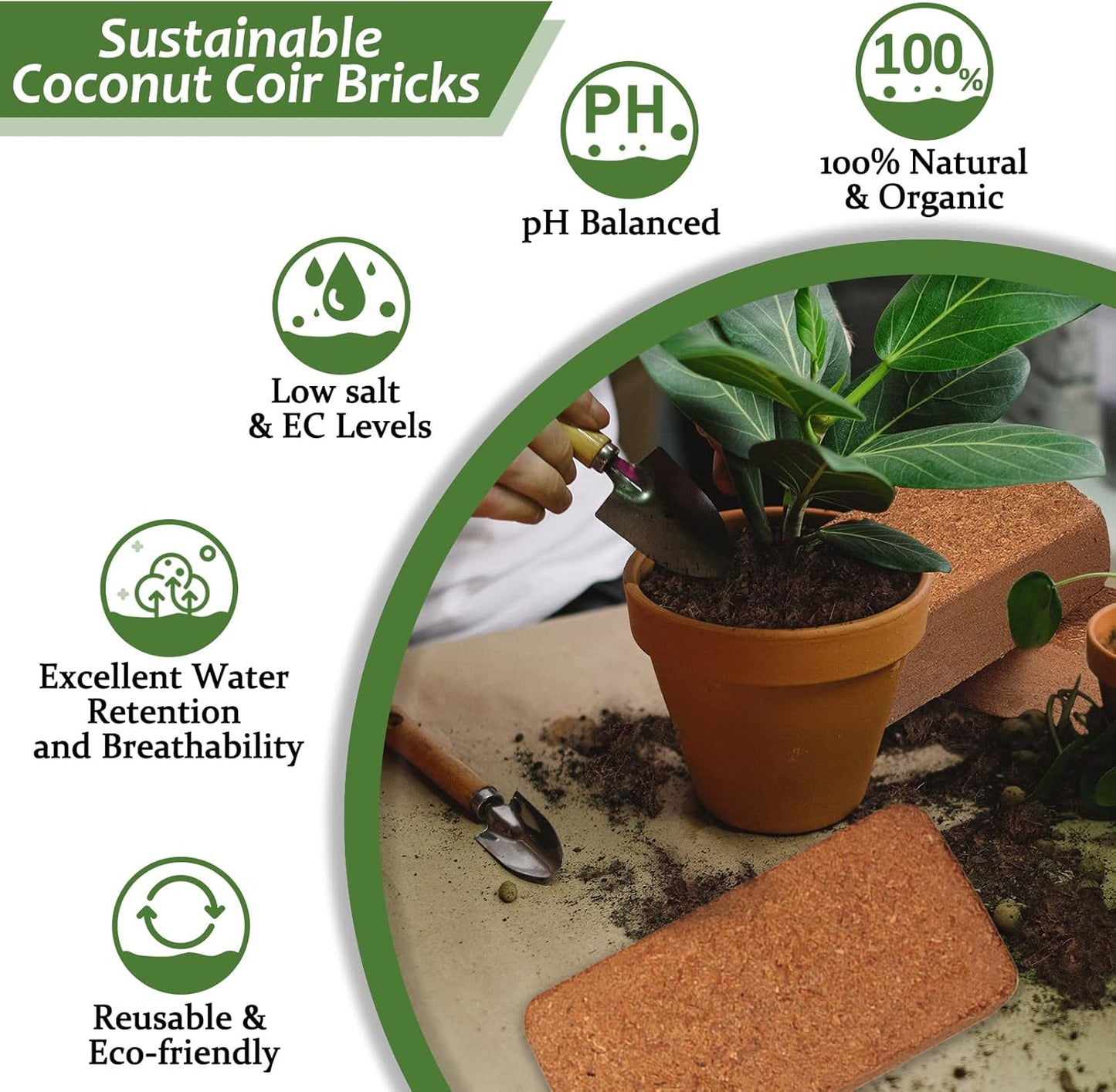 Riare 4pcs Organic Coco Coir Bricks Soil Blocks- 100% Natural Compressed Coco Peat Brick Coconut Fiber Substrate with Low EC& pH Balance, High Expansion Coco Coir Pith Coconut Husk for Garden