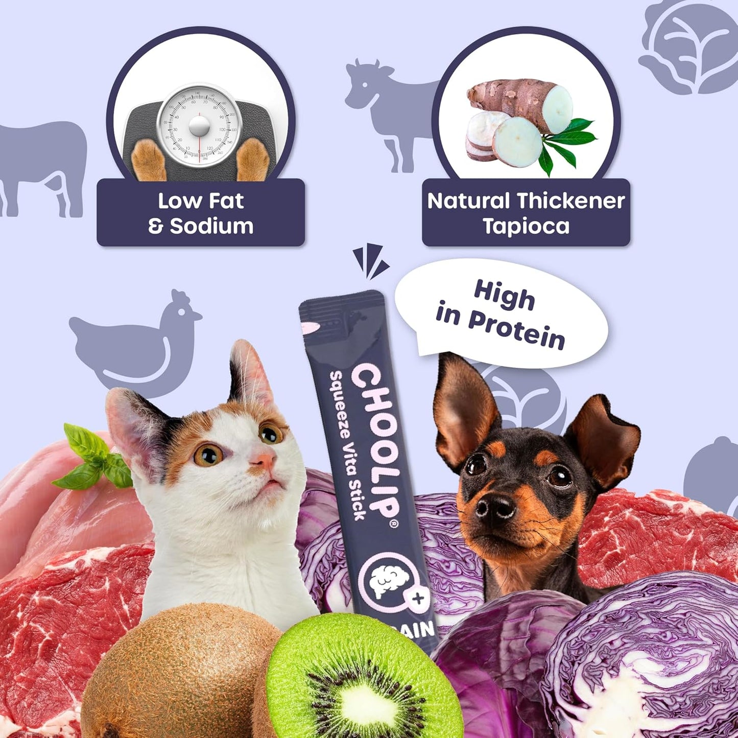 Grab & Go Squeeze Vita Stick Lickable Treats for Dogs & Cats. 49 Brain Support Sticks with Essential multivitamins. Soft and Tasty Paste for All Life Stages, Supporting Brain Health