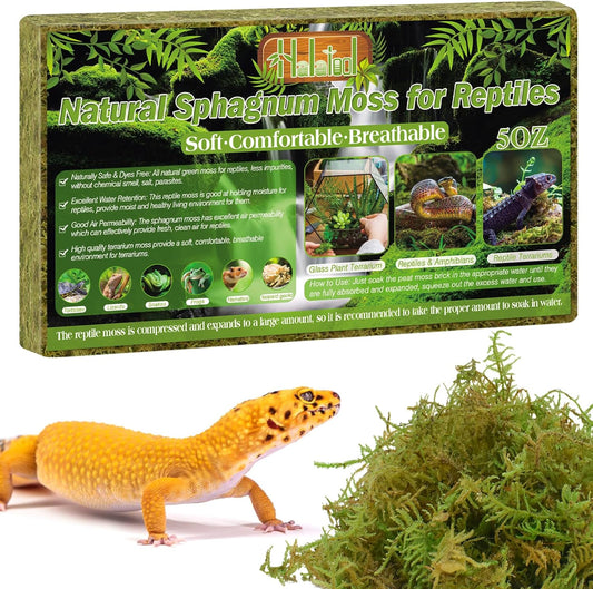 Halatool 5OZ Natural Sphagnum Moss for Reptiles- 8QT Green Live Moss for Terrarium Plants Long Fiber Reptile Moss for Leopard Gecko Snake Hamsters Tortoises Frogs Lizards Salamanders