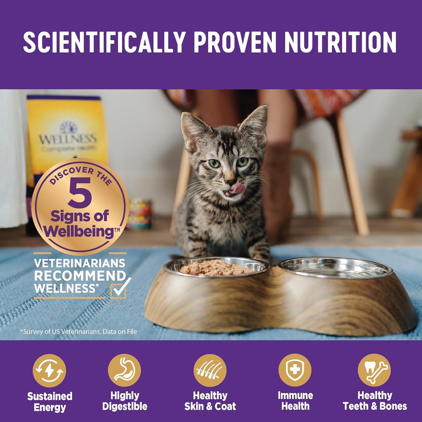 Wellness Complete Health Pate Adult Wet Cat Food, Natural, Protein-Rich, Grain-Free, 3 Ounce, 24 Pack, (Chicken & Turkey Variety Pack)