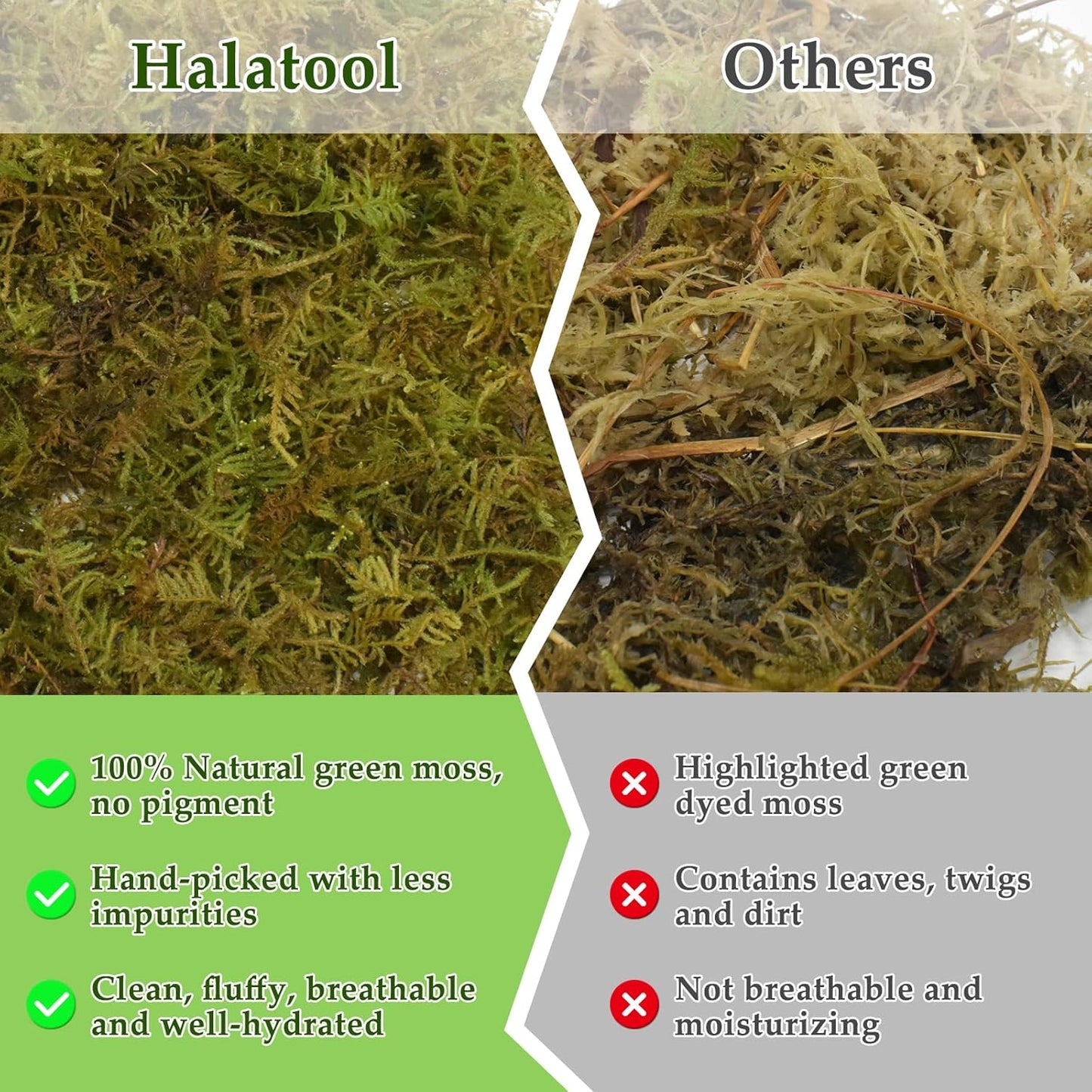 Halatool 5OZ Natural Sphagnum Moss for Reptiles- 8QT Green Live Moss for Terrarium Plants Long Fiber Reptile Moss for Leopard Gecko Snake Hamsters Tortoises Frogs Lizards Salamanders