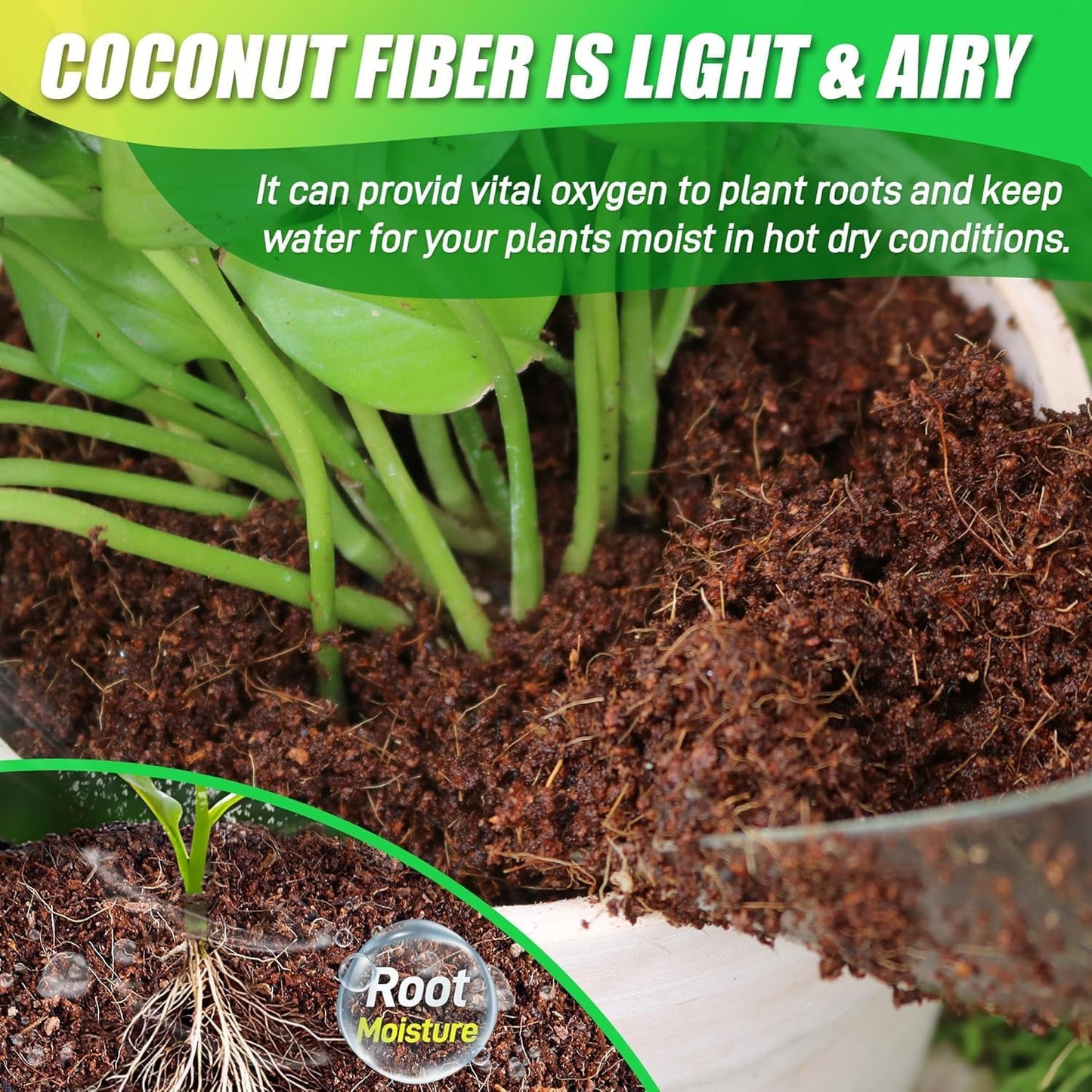 Coco Coir Brick for Plants-12 Pack Premium Coconut Bricks, 100% Organic Peat Moss, Fiber Coconut Husk for Planting, Gardening, Potting Soil Substrate