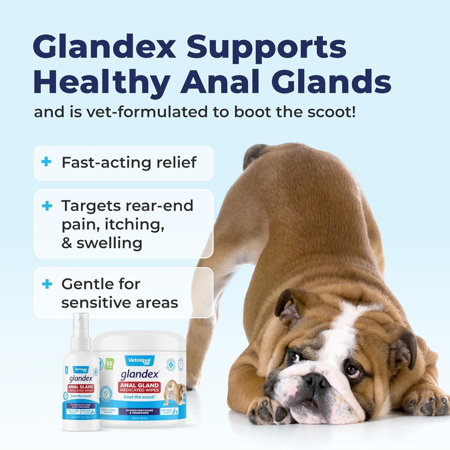Vetnique Glandex Medicated Dog Butt Wipes or Spray for Dog Scooting - Topical Anti Itch Skin Relief for Soothing Inflamed Anal Glands in Dogs & Cats - Fast Acting Formula 50ct (50ct Wipes)