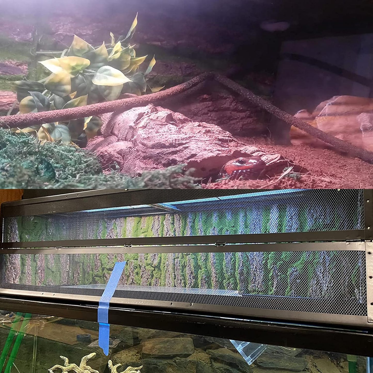 PINVNBY Reptile Cork Terrarium Background,Bearded Dragon Tank Natural Bark Backdrop Wall Habitat Decor with Artificial Moss,15.75"×11.8" Reptile Carpet for Gecko Lizard Tortoise Frog Chameleon(1 Pack)