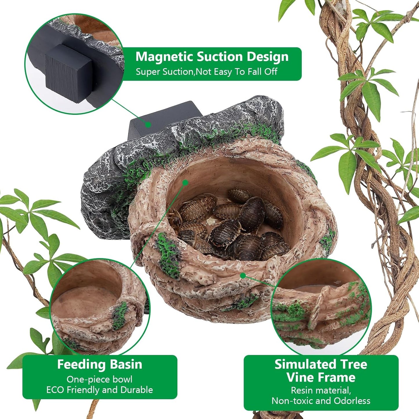 Magnetic Reptile Feeding Ledge, Gecko Feeder Ledge with One Piece Cup, Hollow Vine Food Dish, Reptile Water Bowl for Bearded Dragon Lizard Snake