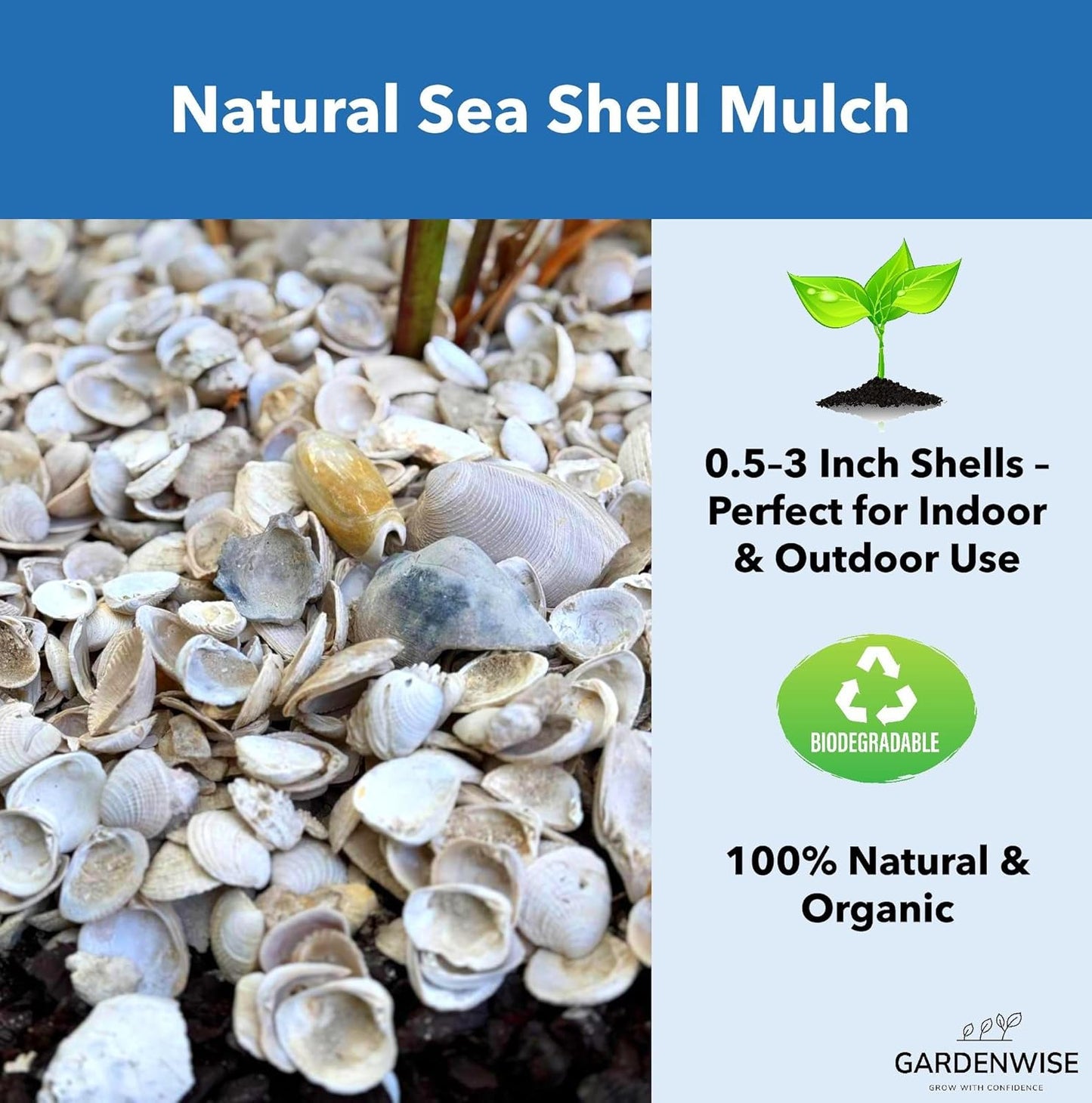 Natural Organic Sea Shell Mulch for Gardens and Landscaping – Decorative and Nutrient-Rich, 0.5–3-Inch Shells, Perfect for Indoor and Outdoor Use (0.5 CF - 14 L - 15 QTS)