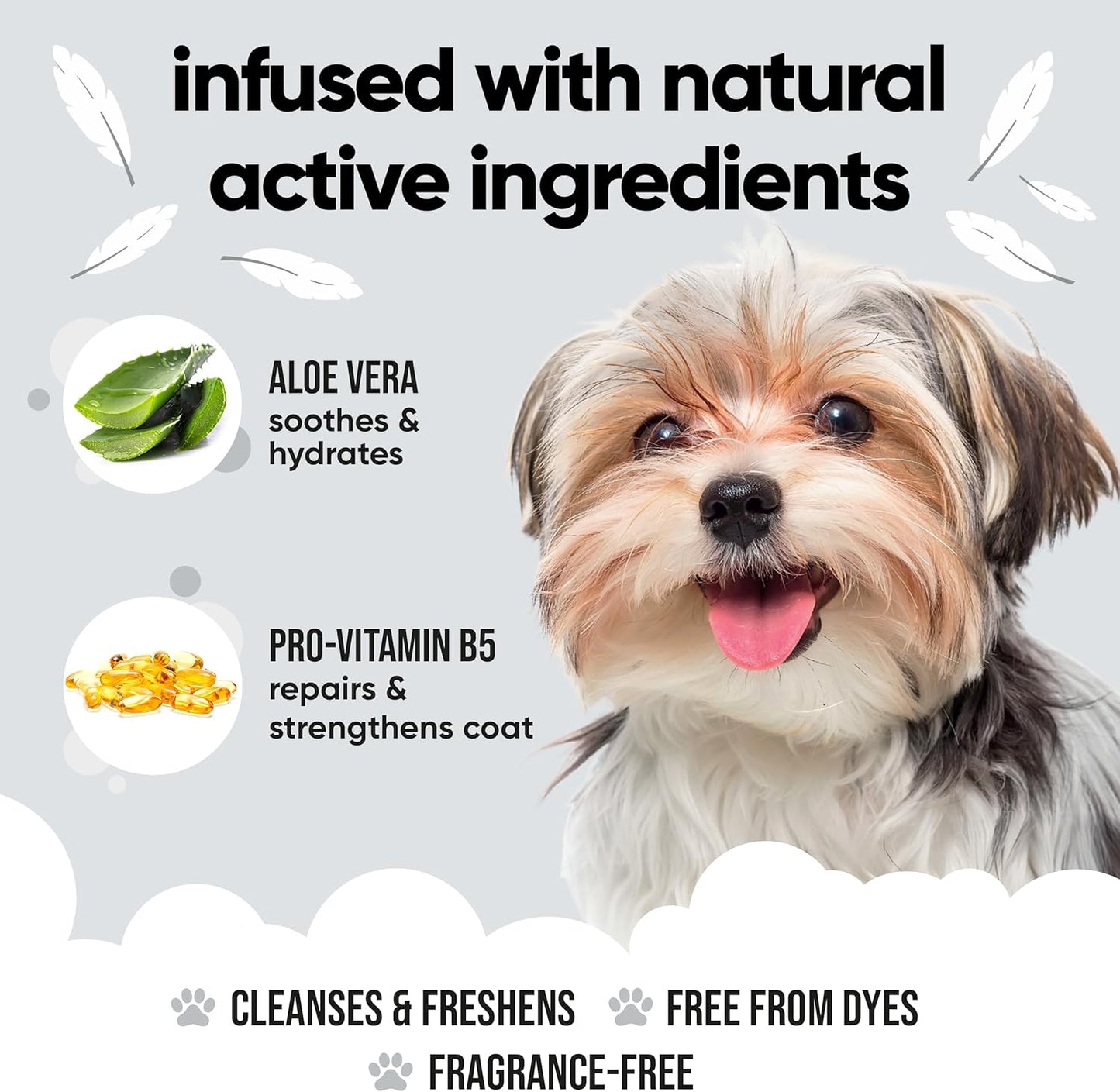 Derma Sensitive Dog Shampoo by Buddycare | with Aloe Vera and Pro Vitamin B5 (33.8oz)