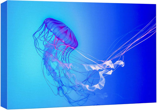 wall26 Canvas Print Wall Art Vibrant Neon Blue Pink Jellyfish Deep Sea Nature Animals Photography Realism Rustic Scenic Landscape Wilderness Earth Colorful for Living Room, Bedroom, Office - 24"x36"