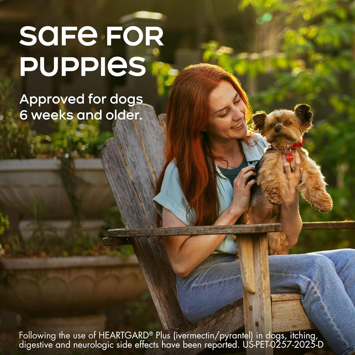 HEARTGARD® Plus (ivermectin/pyrantel) Real-Beef Chewables for Dogs 51-100 lbs (Brown Box) 6 Month Supply of Chews (Heartworm Disease Preventive)