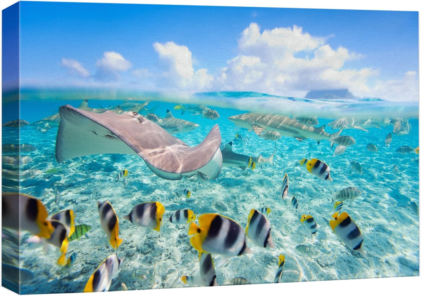 wall26 Canvas Print Wall Art Stingray & Striped Fish Under The Sea Nature Ocean Photography Realism Nautical Scenic Relax/Calm Multicolor Ultra for Living Room, Bedroom, Office - 24"x36"