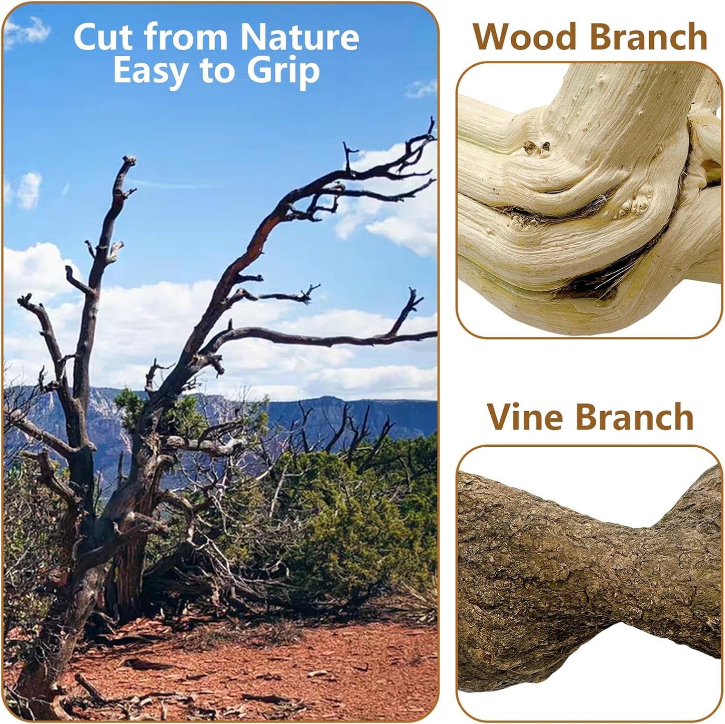 BNOSDM Reptile Branches, 12-14inch Snake Climbing Branch, Terrarium Wood Branch Decor, Bearded Dragon Tank Climbing Accessories for Lizard, Gecko, Chameleon, Frog, 2Pcs