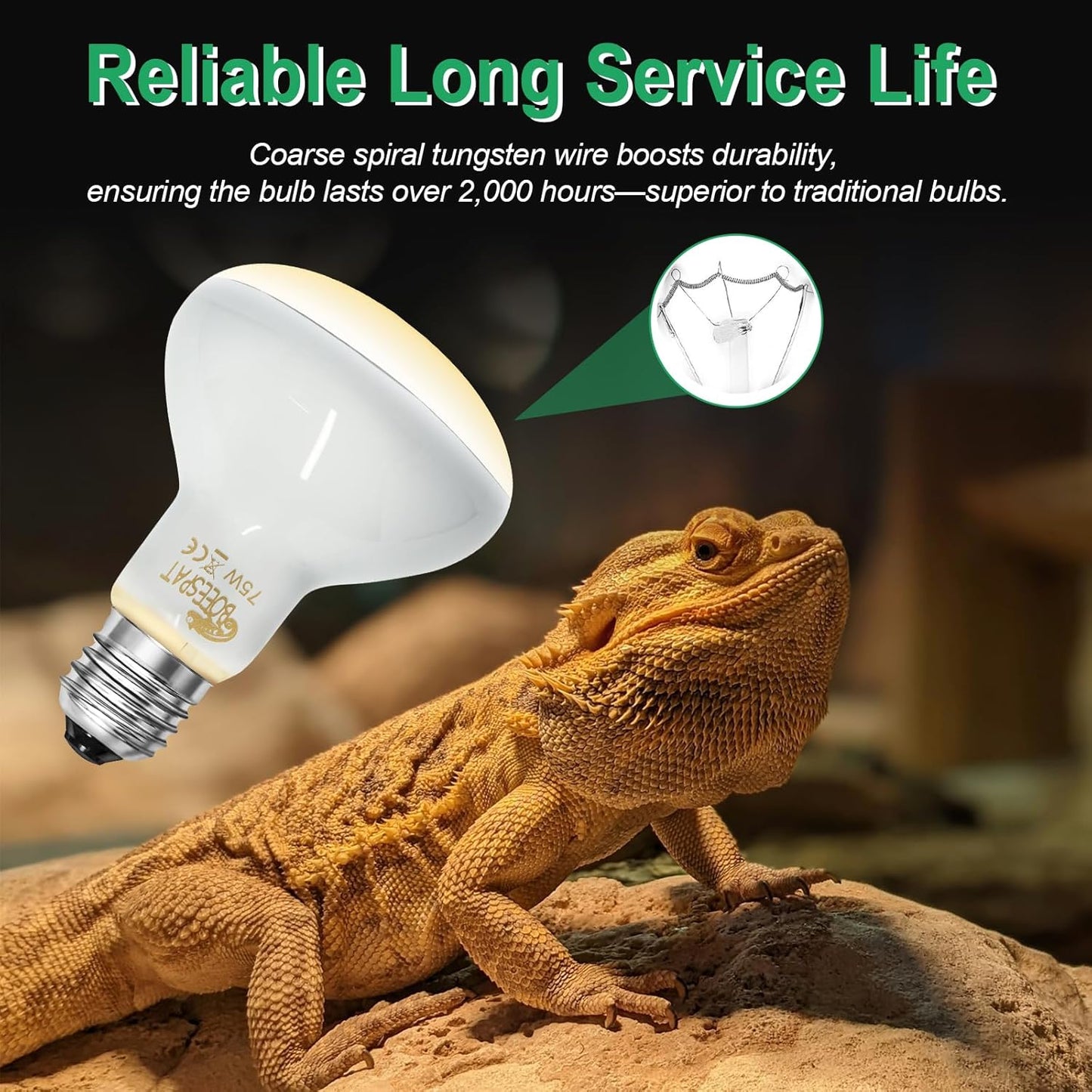 Pack of 2 Reptile Basking Light Bulbs - Incandescent 75W Simulated Sunlight UVA Heat Bulbs for Bearded Dragons, Geckos, Iguanas, Lizards, Amphibians & Small Pets