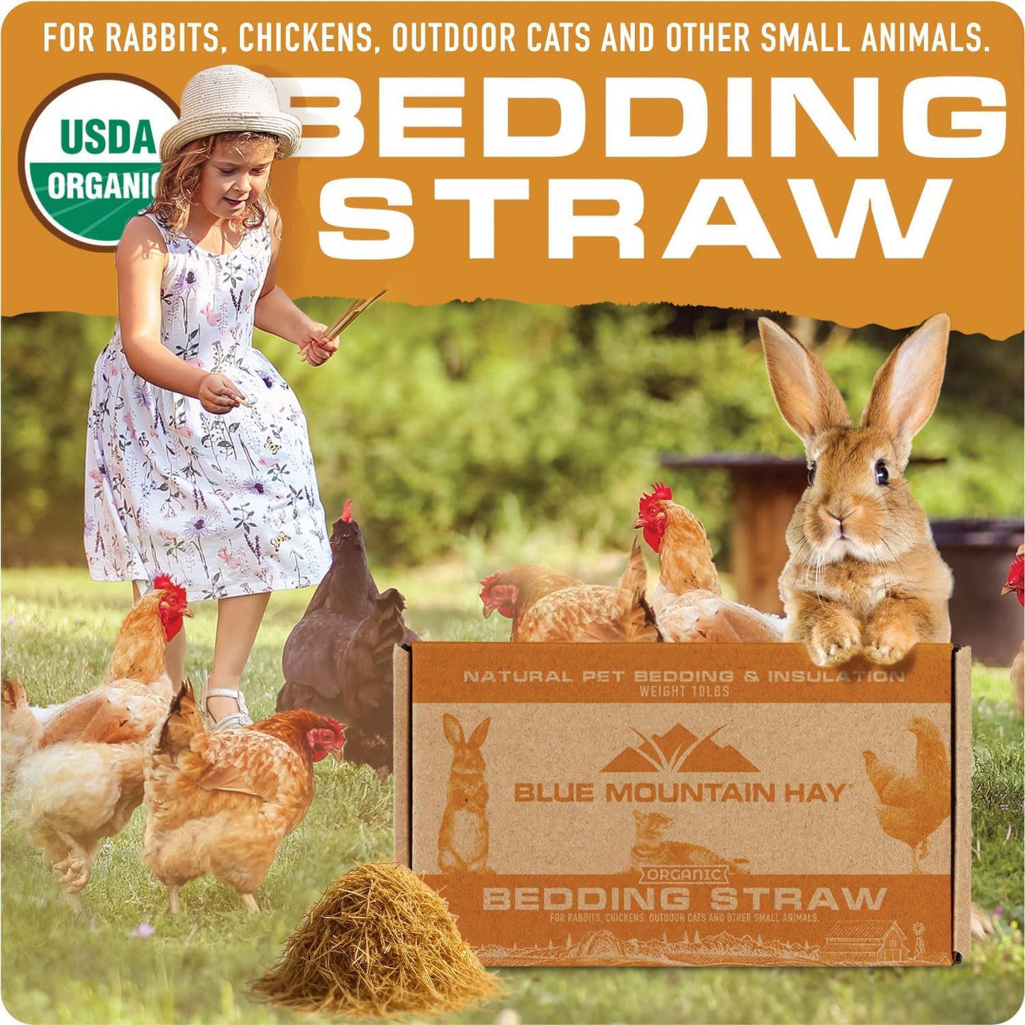 Blue Mountain Hay | Organic Bedding Straw (5 lb) | Natural Pet Bedding & Insulation for Rabbits, Guinea Pigs, Goats, Chickens, Stray & Feral Cats, and Small Animal Shelters