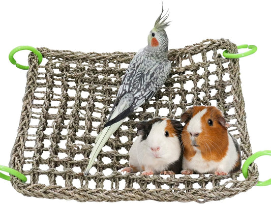 16 x 12 Inches Bird Seagrass Mat, Natural Seagrass Woven Net, Bird Hammock Mat with Hooks, Bird Cage Accessories, Climbing Rope Ladder Chew Toys for Cockatiel Hamster Guinea Pig Rats Hamster Parakeet