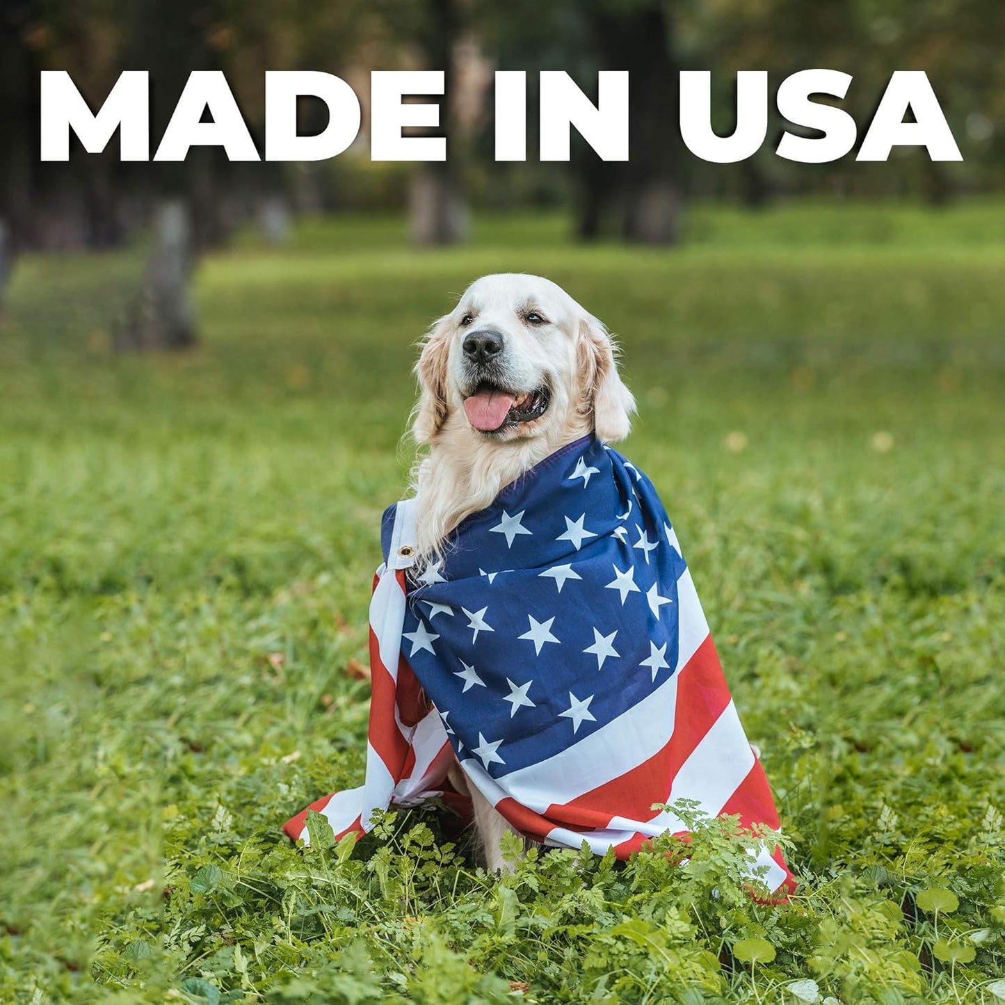 Forticept Maxi-Wash Hot Spot Spray Treatment, Wound Care & Itch Relief Spray for Dogs and Cats. Relives Scratching, Rashes, Sores, Itchy Skin and Paw Licking 8 oz