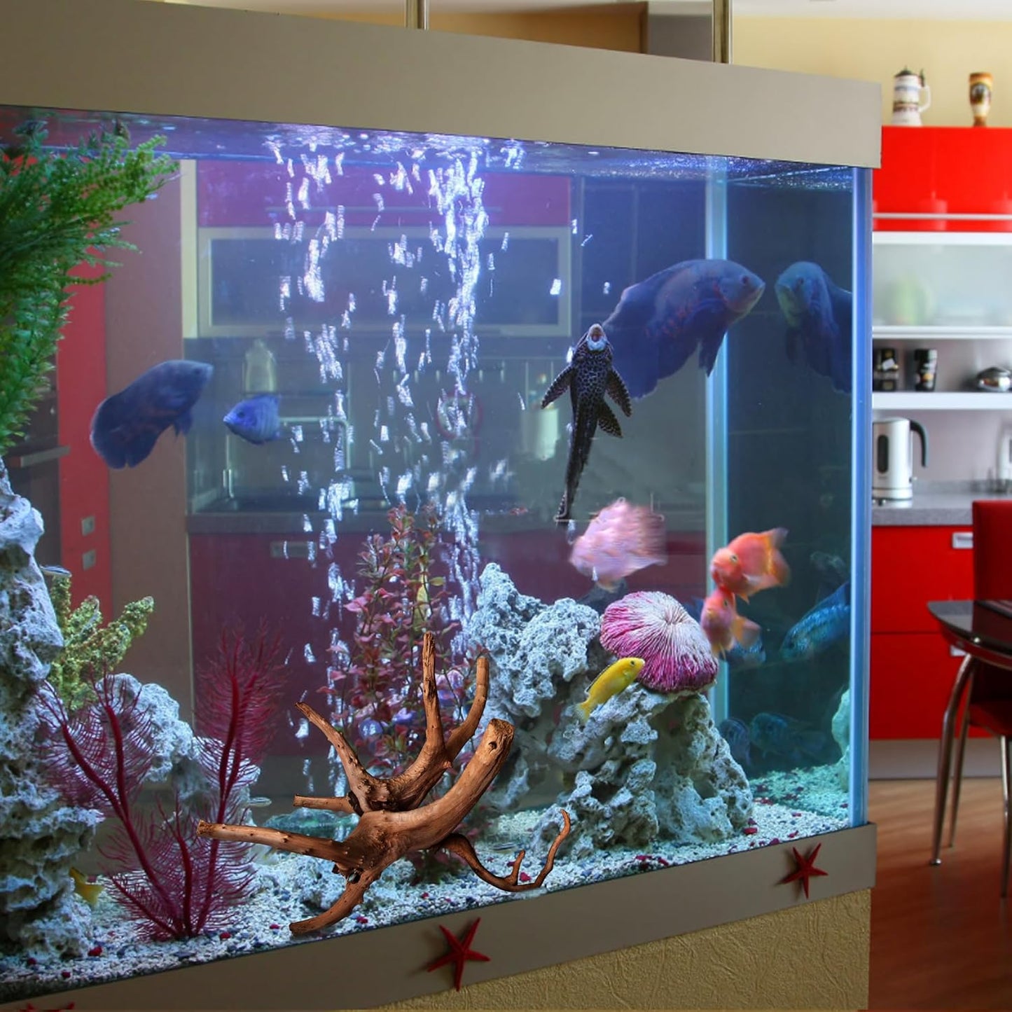 majoywoo Natural Large Driftwood for Aquarium Decor Reptile Decor, Assorted Spider Wood Branch 13-17" Long, Fish Tank Decoration