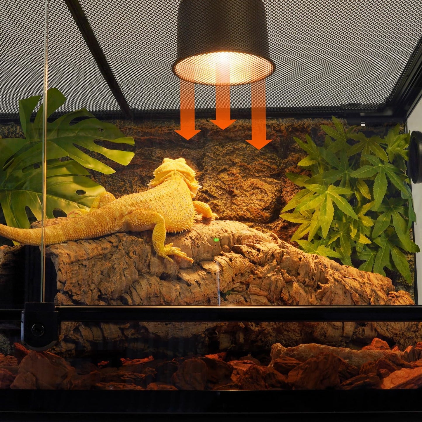 REPTI ZOO 36" x 24" x 18" Glass Reptile Terrarium, Front Opening Reptile Habit Tank with Double Hing Doors, Knock-Down Terrarium with Top Screen Ventilation 68 Gallon