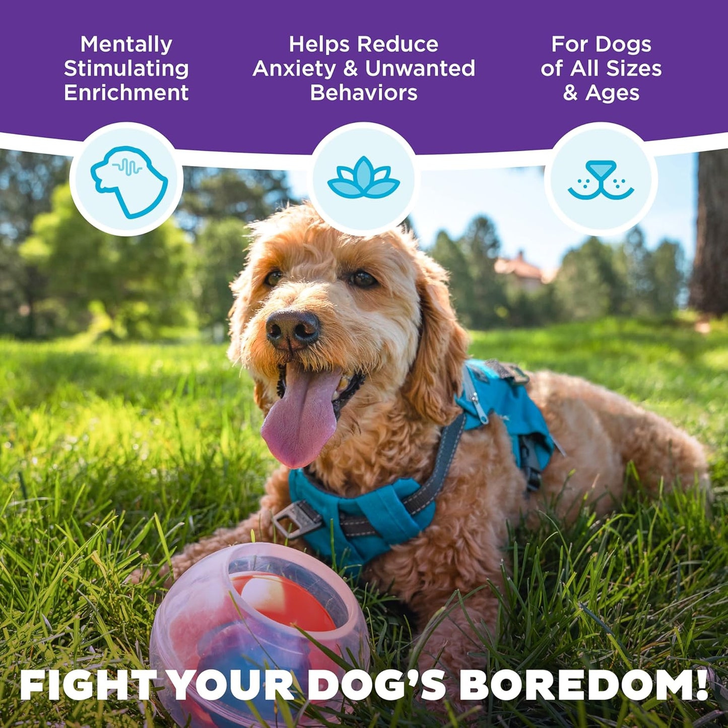 Outward Hound Nina Ottosson Topsy Treat Ball Dog Puzzle Interactive Treat Puzzle Dog Enrichment Dog Toy, Level 1 Beginner, Orange