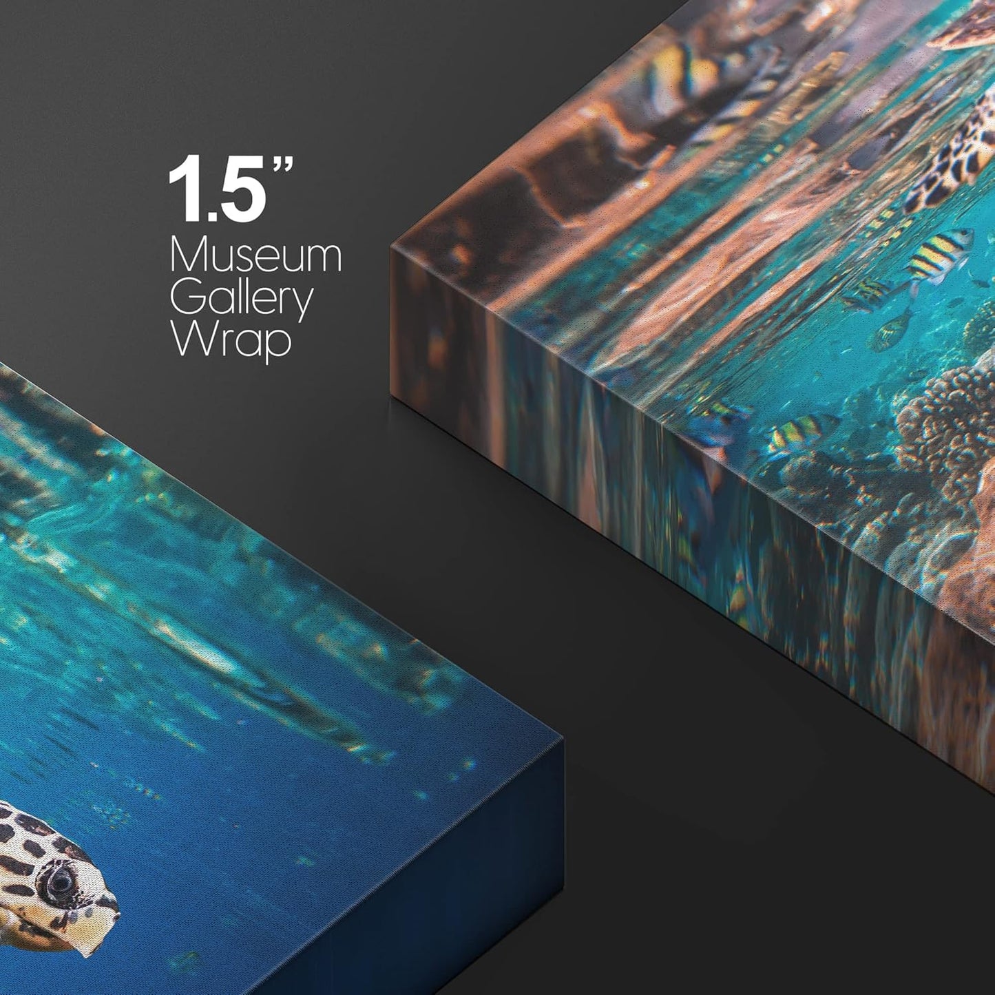 wall26 Canvas Print Wall Art Tropical Turtle Coral Reef Deep Sea Dive Nature Animals Photography Realism Rustic Scenic Landscape Wilderness Earth Colorful for Living Room, Bedroom, Office - 24"x36"