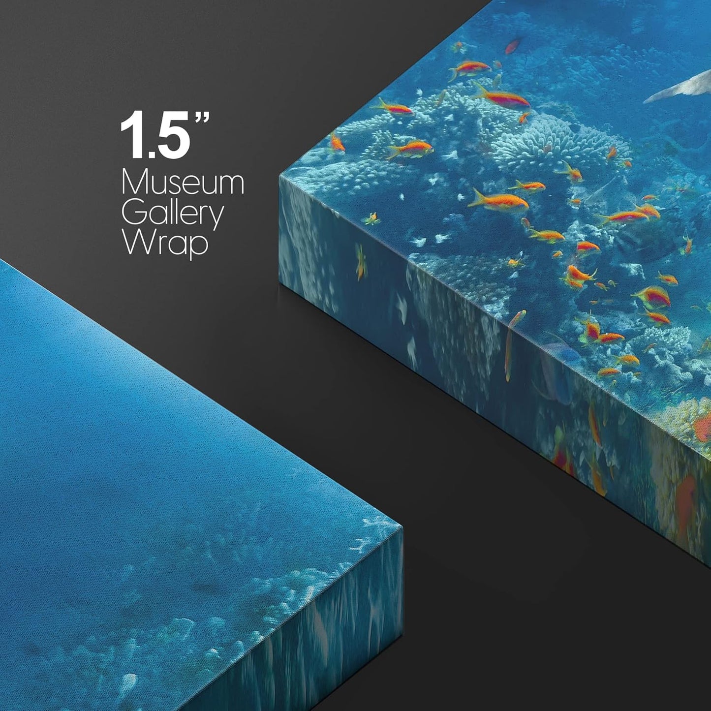 wall26 Canvas Print Wall Art Tropical Ocean Underwater Dolphin Coral Reef Nature Animals Photography Realism Rustic Scenic Landscape Wilderness Colorful for Living Room, Bedroom, Office - 16"x24"