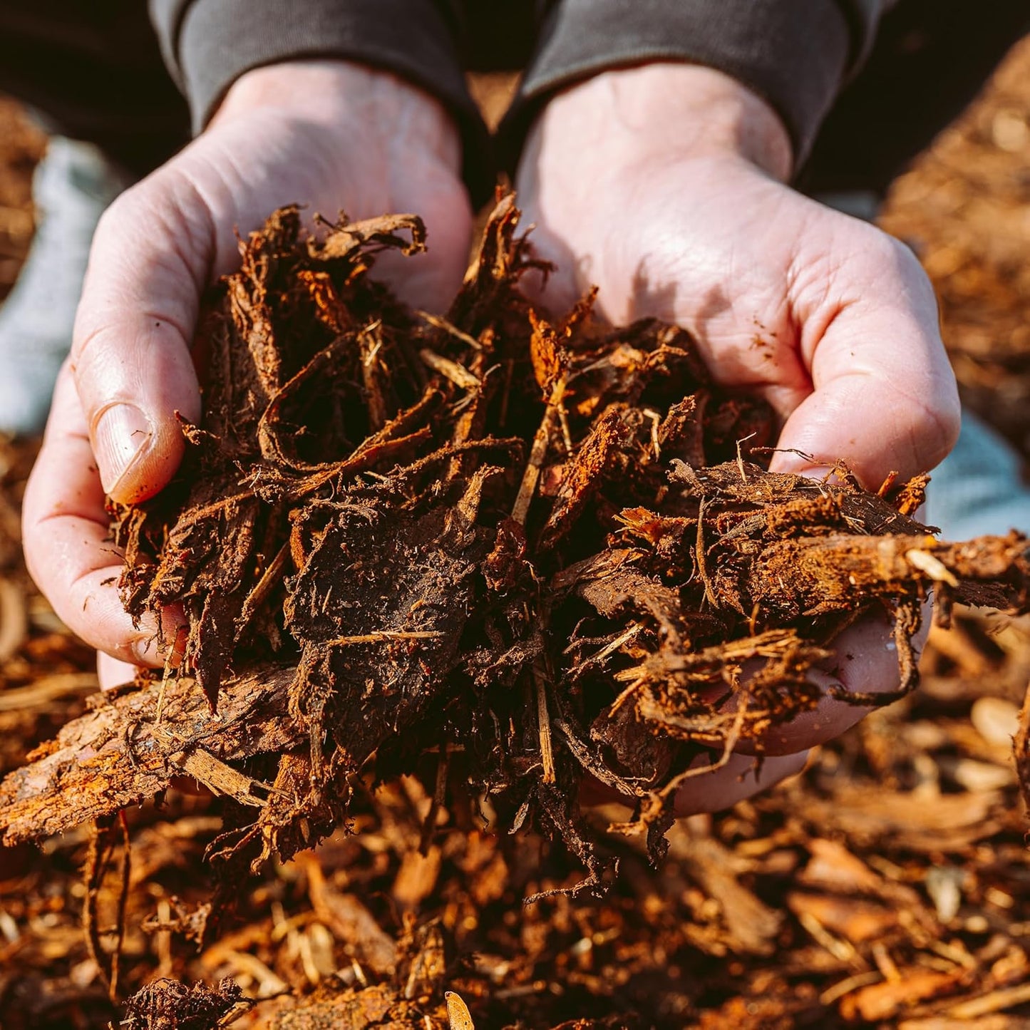 Premium Gold Wood Mulch for Landscaping, Gardens, Lawns, Potting Media, and Potted Plants (0.3 CF - 8 L - 9 QTS)