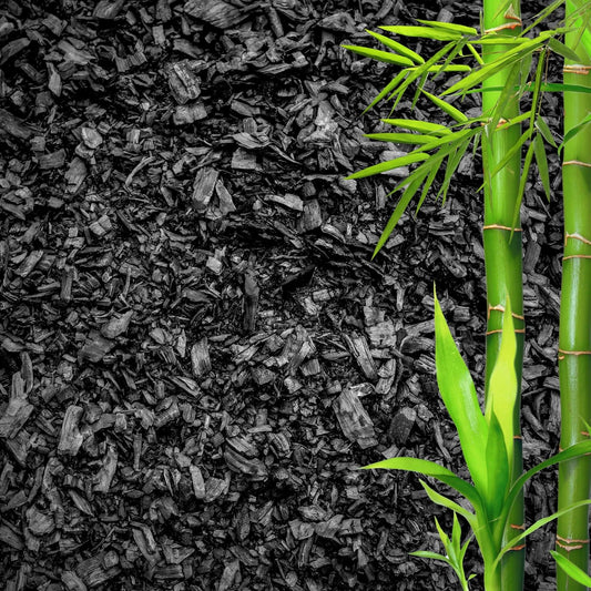 Horticultural Charcoal for Plants – Organic Bio Char Soil Amendment for Terrariums, Indoor Plants & Gardening, Made in USA (3 quarts)