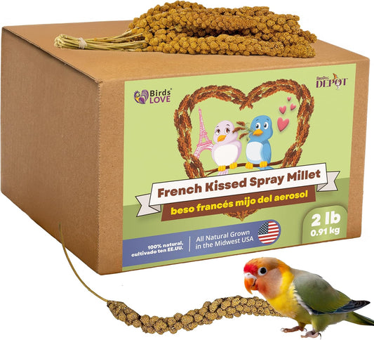 Birds LOVE French Kissed Spray Millet for Birds - Parakeets, Cockatiels, Lovebirds, Finches, Budgies, Canaries, Cockatoos - Natural & Healthy Bird Millet - Parakeet Food & Treats for All Parrots 2lbs