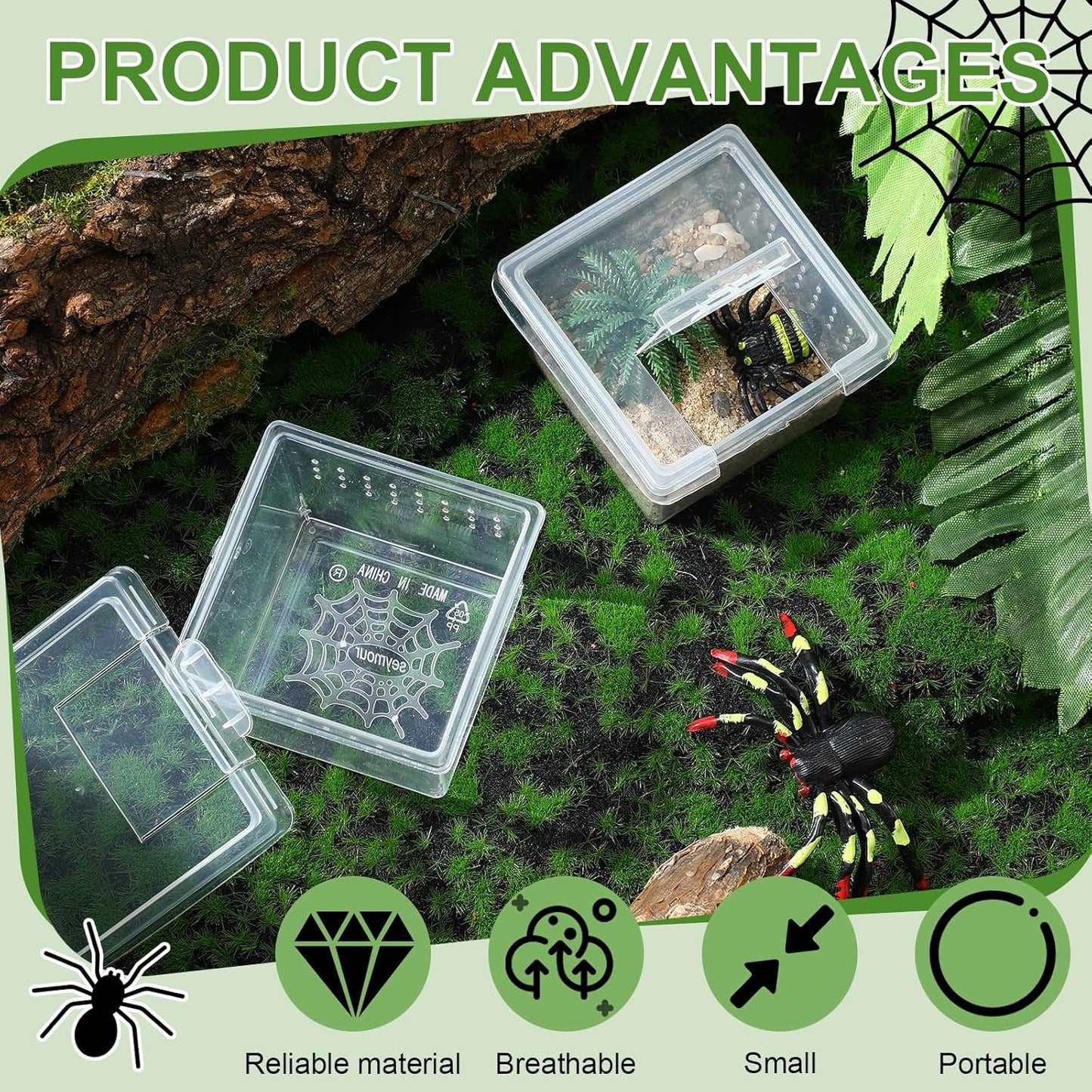 20 Pcs Insect Spider Terrariums Breeding Box Small Reptile Hatching Container Transparent Cricket Keeper Breeder Box Feeding Spider Cage with Lid for Scorpion Gecko Tortoise Centipede Tarantula