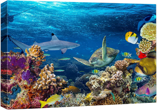 wall26 Canvas Print Wall Art Tropical Island Underwater Turtle Shark Nature Animals Photography Realism Rustic Scenic Landscape Wilderness Earth Colorful for Living Room, Bedroom, Office - 24"x36"