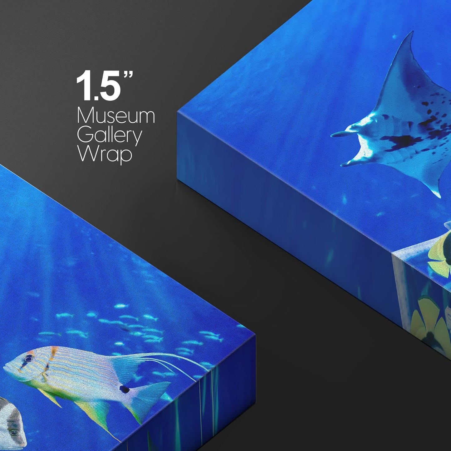 wall26 Canvas Print Wall Art Vibrant Sunlight Ray Ocean Shark Fish Reef Nature Animals Photography Realism Rustic Scenic Landscape Wilderness Earth for Living Room, Bedroom, Office - 24"x36"