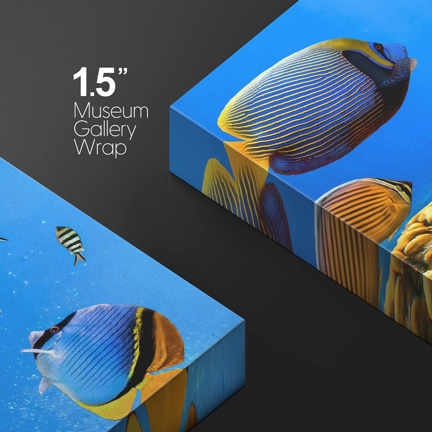 wall26 Canvas Print Wall Art Tropical Island Underwater Fish Red Anemone Nature Animals Photography Realism Rustic Scenic Landscape Wilderness Colorful for Living Room, Bedroom, Office - 32"x48"